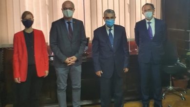 تعاون مصري ألماني في مجال الكهرباء والطاقة المتجددة