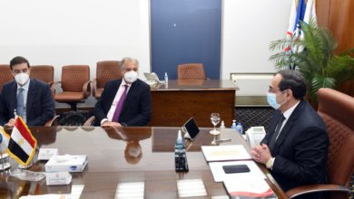 مباحثات مصرية يونانية لدعم أنشطة النقل البحرى للبترول والغاز المسال