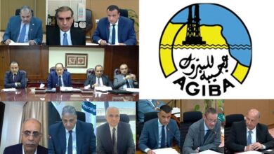 تفاصيل نتائج أعمال شركة عجيبة للبترول للعام المالى 2021/2022