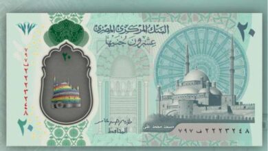 عشرون جنيه