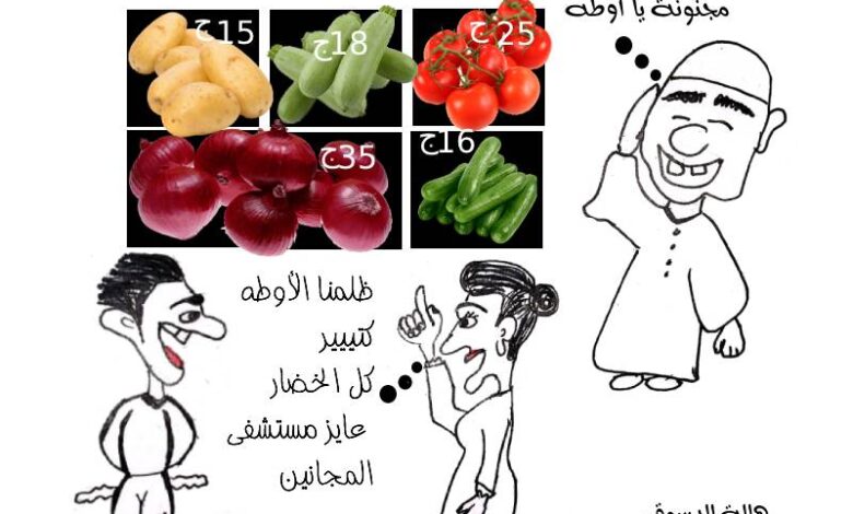 كاريكاتير ارتفاع الأسعار هالة الدسوقي