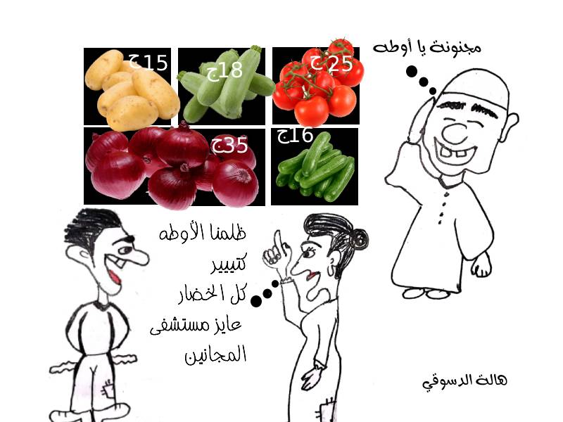 كاريكاتير ارتفاع الأسعار هالة الدسوقي 