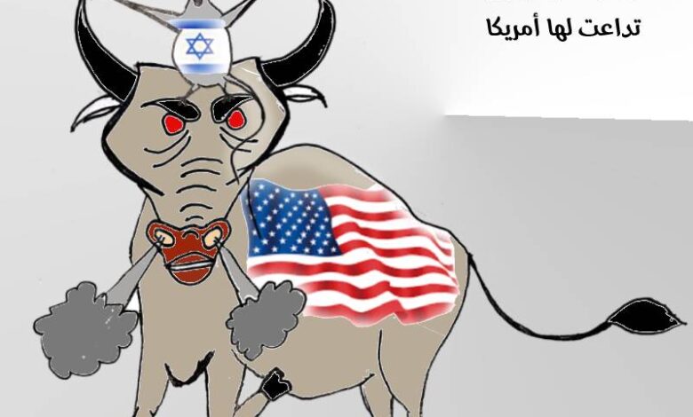 حرب فلسطين وإسرائيل كاريكاتير اسرائيل وأمريكا هالة الدسوقي