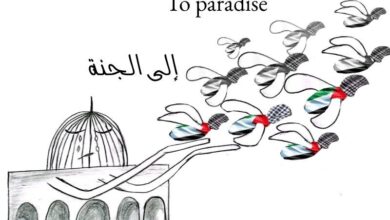 كاريكاتير هالة الدسوقي شهداء غزة الاحتلال الاسرائيلي