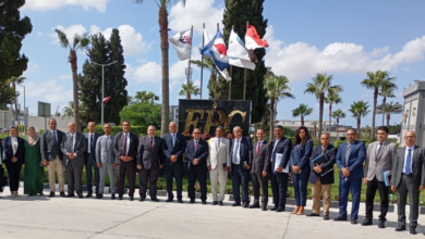 تطوير الإنتاج وترشيد الطاقة.. البتروكيماويات المصرية تعزز مكانتها في السوق المصري