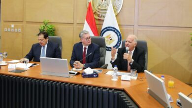 أبو العينين والسويدي يشددان على أهمية تسويق الفرص البترولية كجزء من الأمن القومي
