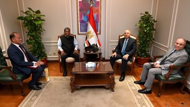 3.5 مليار دولار استثمارات هندية في مصر