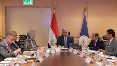مجلس الآثار يعتمد قرارات تسجيل قطع جديدة