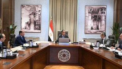 رئيس الوزراء يتابع مشروعات واستثمارات
