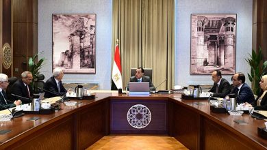 رئيس الوزراء يستعرض جهود وخطوات