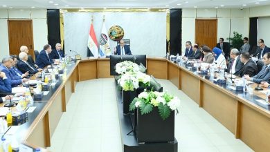 7.6 مليار جنيه أرباح القابضة للصناعات الكيماوية