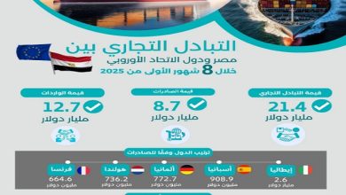 8.7 مليار دولار صادرات مصر