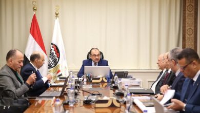 وزير قطاع الأعمال يتابع جهود التوافق