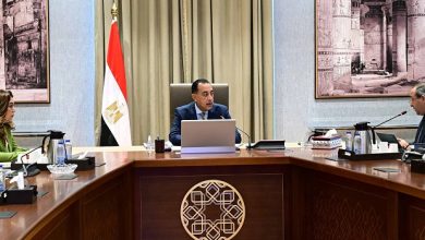 رئيس الوزراء يتابع مع محافظ بورسعيد