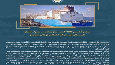 مصر تصدر 150 ألف متر مكعب