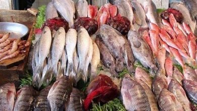 أسعار الأسماك اليوم الأربعاء
