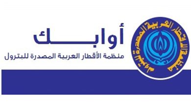 مصر ستساهم بشكل فعال بالتجارة الدولية