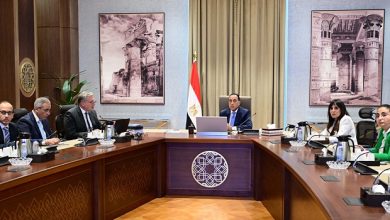رئيس الوزراء يلتقي وزير البترول