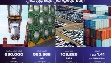 ميناء جبل علي يسجل رقما