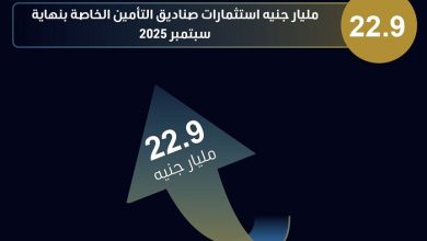 92 مليار جنيه تمويل للمشروعات