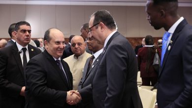 مصر والجزائر تعززان التعاون