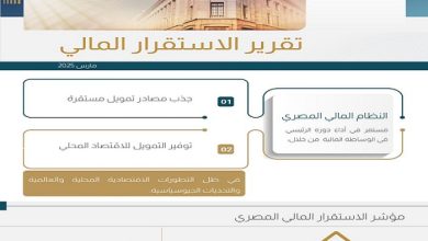 البنك المركزي المصري يصدر تقرير