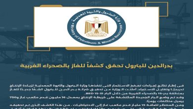 بدر الدين للبترول تحقق كشفا