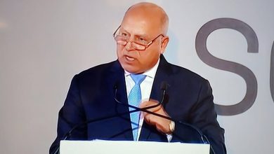 كامل الوزير