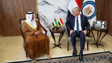 مصر والإمارات تعززان الشراكة الاستراتيجية في قطاع الطاقة والغاز