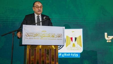 وزير قطاع الأعمال يستعرض