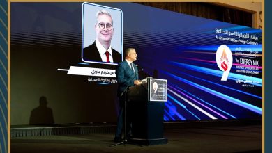 وزير البترول يؤكد نجاح إستراتيجية