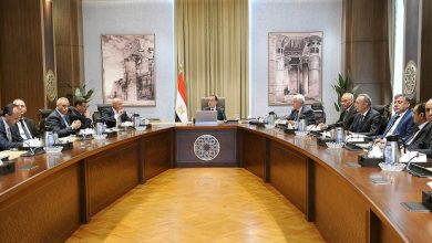 رئيس الوزراء يتابع توفير الأسمدة