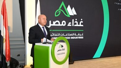توطين الصناعة وتعميق التصنيع