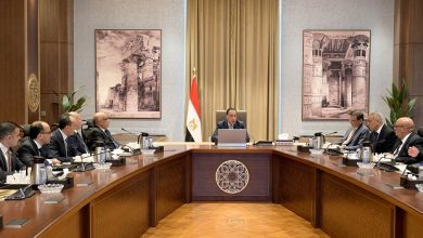 رئيس الوزراء يتابع جهود حل
