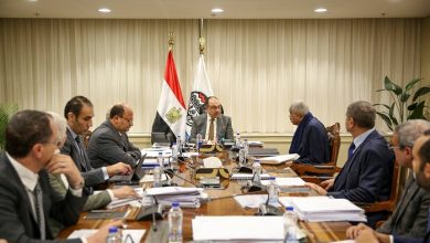 وزير قطاع الأعمال يبحث مستجدات