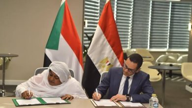 مصر والسودان يترأسان اجتماعات