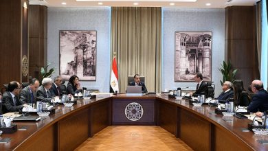 رئيس الوزراء يتابع إجراءات