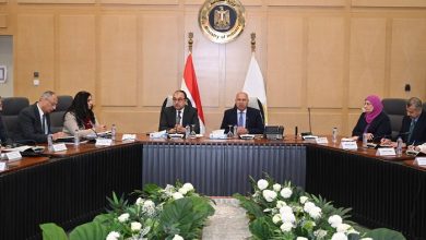 وزير الصناعة ووزير قطاع الأعمال