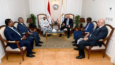 كامل الوزير يستقبل وزيرة الصناعة