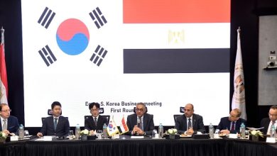 مصر وكوريا الجنوبية تبحثان دعم