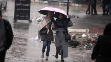 طقس اليوم أجواء شديدة البرودة