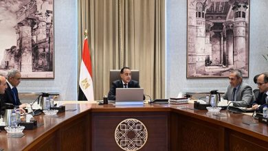 رئيس الوزراء يتابع عددا