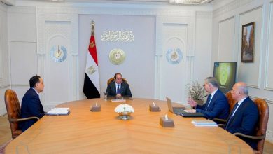السيسي يبحث ملفات البترول