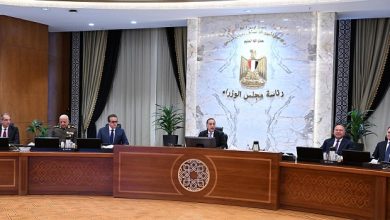 رئيس الوزراء يستعرض جهود مصر