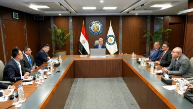 وزير البترول يبحث مع شينج فا