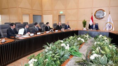 مصر تتجه لتوطين السيارات