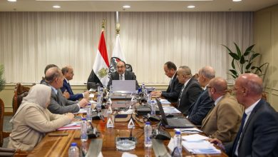 وزير قطاع الأعمال يتابع تنفيذ