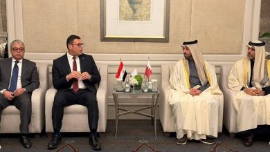 الشربيني يبحث مع نظيره القطري