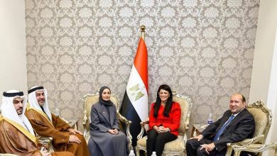مصر والإمارات تبحثان تعزيز التعاون