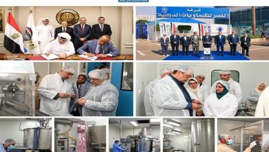 126 مليار جنيه إيرادات الشركات